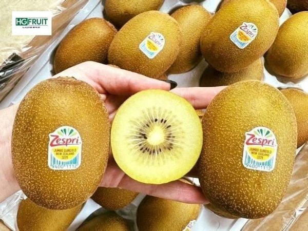 Kiwi Vàng New Zealand size 22 giá chỉ 449k/ thùng 3.5kg