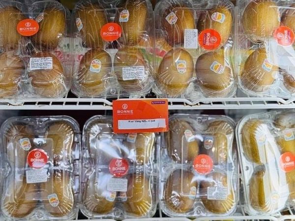 Kiwi Vàng New Zealand