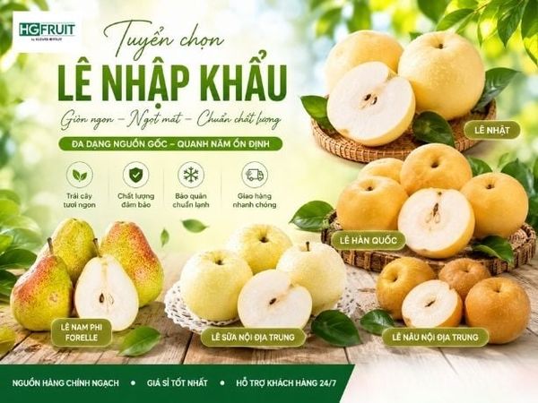 nguồn lê giá sỉ