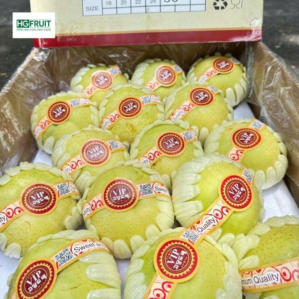 nguồn lê sữa nội địa trung giá sỉ