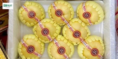 Lê Sữa Nội Địa Trung