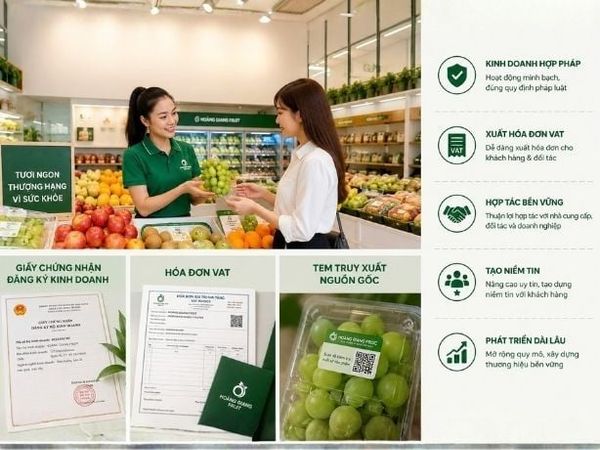 Đăng ký kinh doanh là nền tảng để cửa hàng trái cây phát triển chuyên nghiệp và tạo dựng niềm tin.