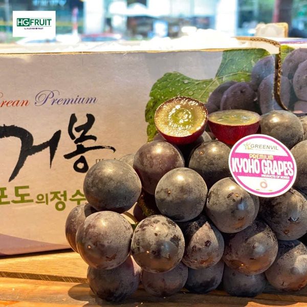 Nho rượu hàn quốc