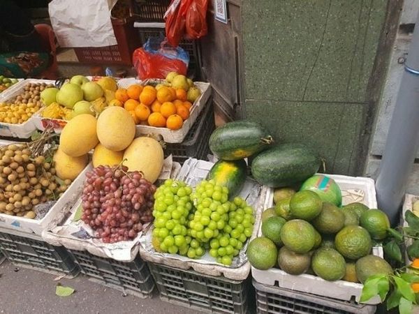 Nhiều giống cao cấp của Nhật Bản bị đạo nhái ở nước ngoài
