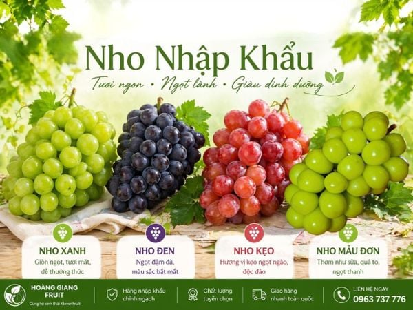 Nho nhập khẩu giá sỉ tại Hoàng Giang Fruit
