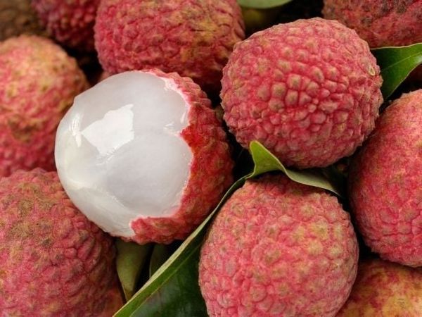 Vải