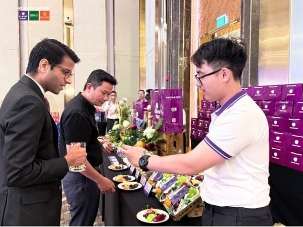 Klever Gruop tại Sự kiện 250 năm Quốc Khánh Hoa Kỳ