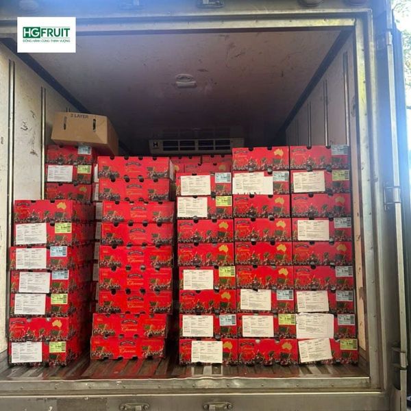 Cherry Úc giá sỉ