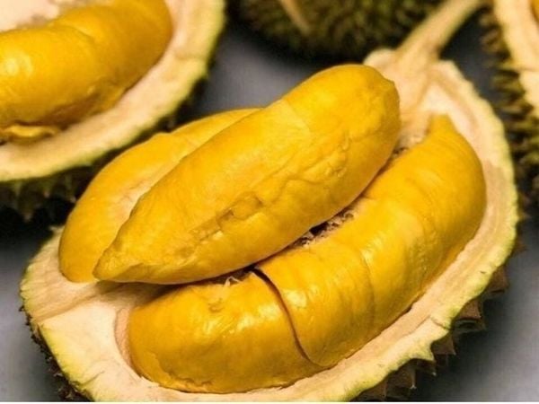 sầu riêng