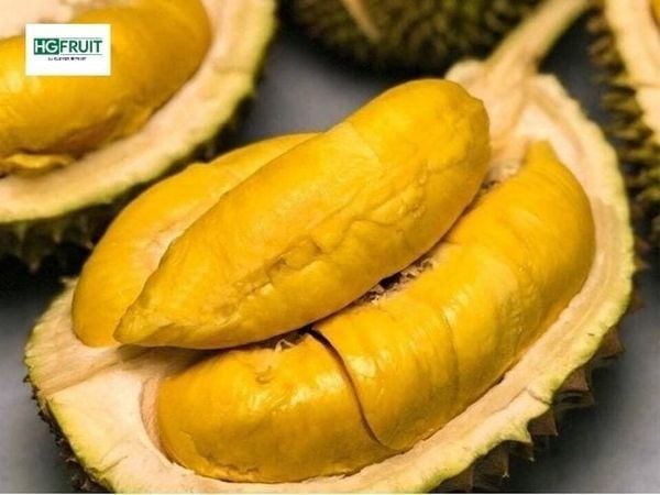 Sầu riêng Việt Nam chất lượng cao