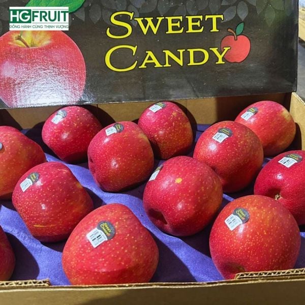 Táo Ever Crisp Mỹ giá sỉ từ Hoàng Giang Fruit