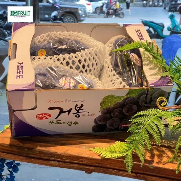 Nho Rượu Kyoho Hàn Quốc trưng bày tại cửa hàng trái cây cao cấp