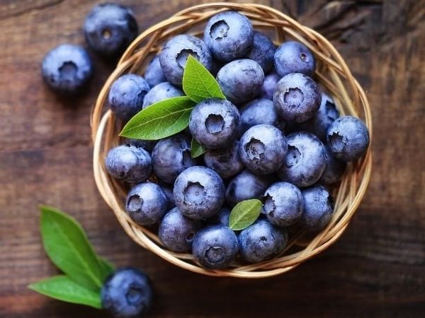 Việt quất nguồn dinh dưỡng cho em bé thông minh