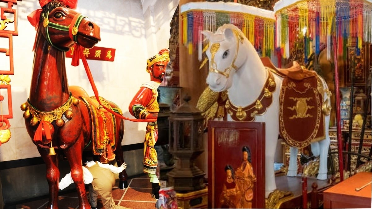 Ngựa trong tâm linh và đời sống người Việt: Biểu tượng sức mạnh & Tài lộc