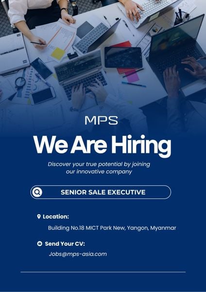 SENIOR SALE EXECUTIVE