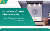 5 Ý Tưởng Sử Dụng Đèn Spotlight Biến Không Gian Trở Nên Sang Trọng