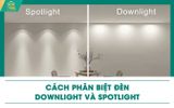 Cách phân biệt đèn downlight và Spotlight