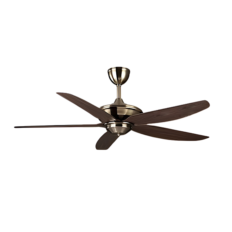 Quạt Trần Homesick