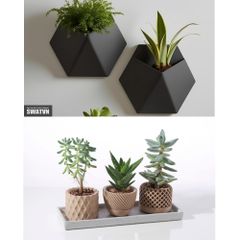 CHẬU CÂY IN 3D ĐỘC ĐÁO – ĐIỂM NHẤN TRANG TRÍ CHO BÀN LÀM VIỆC & KHÔNG GIAN SỐNG