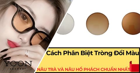 Cách Phân Biệt Tròng Đổi Màu Nâu Trà Và Nâu Hổ Phách Chuẩn Nhất