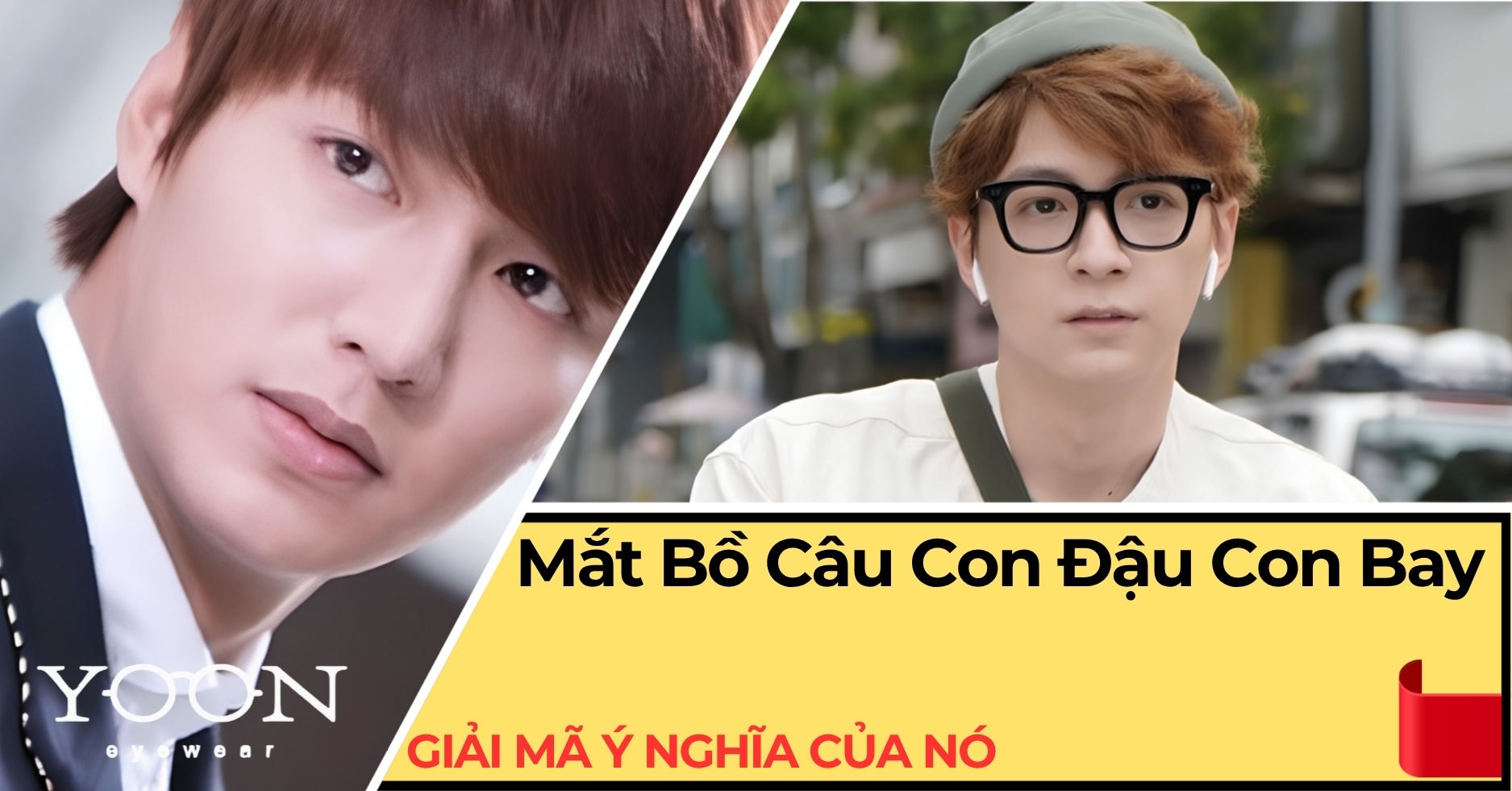 Giải Mã Ý Nghĩa Của Mắt Bồ Câu Con Đậu Con Bay