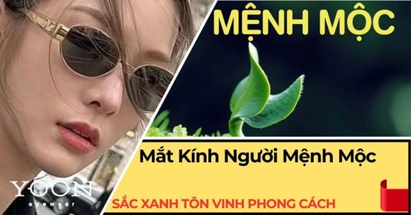 Kính Hợp Mệnh Mộc: Sắc Xanh Tự Nhiên Tôn Vinh Phong Cách