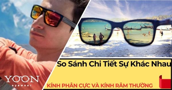 Kính Phân Cực Và Kính Râm Thường Khác Gì Nhau? So Sánh Chi Tiết