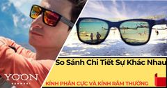 Kính Phân Cực Và Kính Râm Thường Khác Gì Nhau? So Sánh Chi Tiết