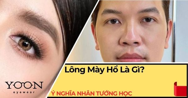 Lông Mày Hổ Là Gì? Đặc Điểm, Ý Nghĩa Nhân Tướng Học