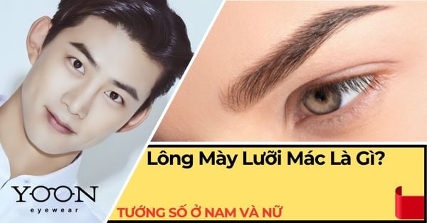 Lông Mày Lưỡi Mác Có Ý Nghĩa Gì? Đặc Điểm Tướng Số Ở Nam Và Nữ