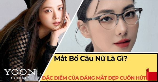 Mắt Bồ Câu Nữ Là Gì? Đặc Điểm Của Dáng Mắt Đẹp Cuốn Hút