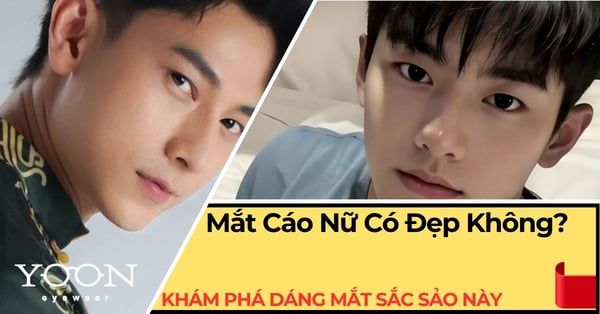 Mắt Cáo Nữ Có Đẹp Không? Khám Phá Dáng Mắt Sắc Sảo, Cuốn Hút