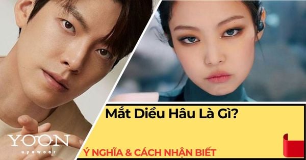 Mắt Diều Hâu Là Gì? Đặc Điểm, Ý Nghĩa & Cách Nhận Biết