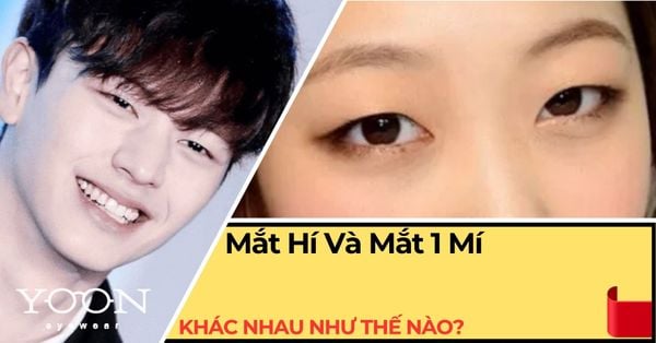 Mắt Hí Và Mắt 1 Mí Khác Nhau Như Thế Nào? Cách Phân Biệt Chính Xác