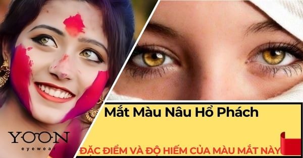 Mắt Màu Nâu Hổ Phách Là Gì? Đặc Điểm & Độ Hiếm Của Màu Mắt Này
