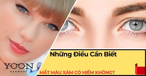 Mắt Màu Xám Có Hiếm Không? Đặc Điểm, Nguồn Gốc & Những Điều Cần Biết