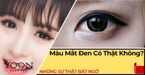 Màu Mắt Đen Có Thật Không? Sự Thật Khiến Nhiều Người Bất Ngờ