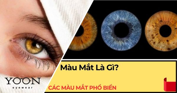 Màu Mắt Là Gì? Vì Sao Mỗi Người Có Màu Mắt Khác Nhau?