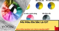Mù Màu Đa Sắc Là Gì? Nguyên Nhân, Dấu Hiệu & Cách Nhận Biết