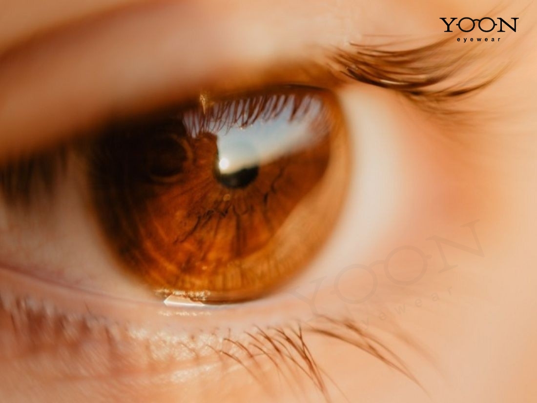 Melanin Cao Là Đặc Điểm Phổ Biến Của Con Người