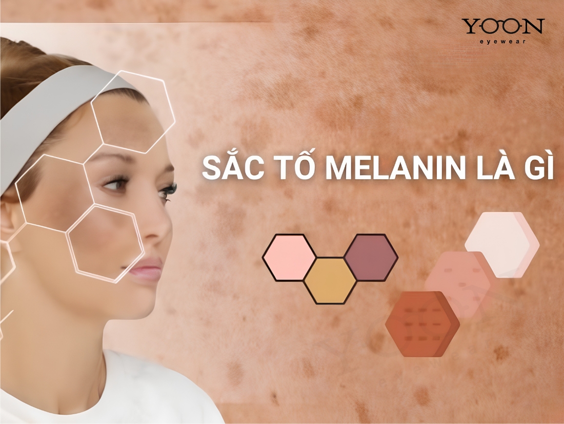 MELANIN LÀ GÌ VÀ VAI TRÒ TRONG MẮT