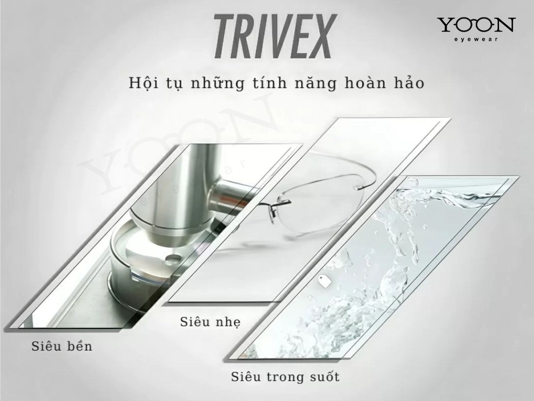 TRÒNG KÍNH TRVIEX LÀ GÌ?