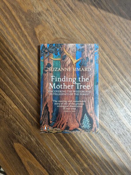 finding the mother tree