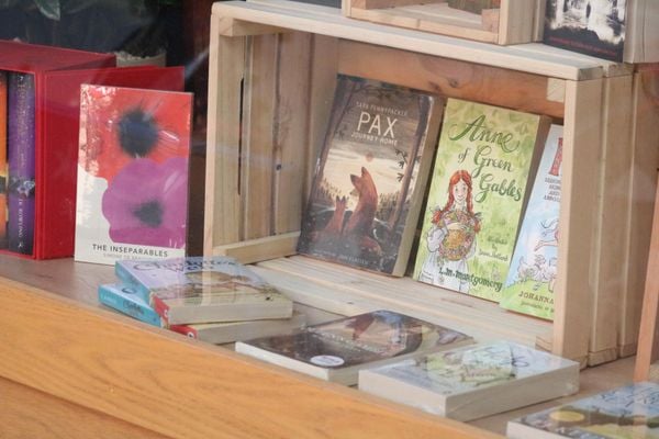 Middle Grade Novel