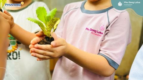 CÙNG BÉ GIEO TRỒNG VỤ RAU MỚI TẠI PHU DONG LOTUS KINDERGARTEN