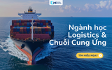 Logistics & Chuỗi Cung Ứng - Ngành học dành cho ai?