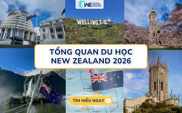 DU HỌC NEW ZEALAND 2026: ĐIỀU KIỆN, CHI PHÍ CẦN CHUẨN BỊ, HỌC BỔNG