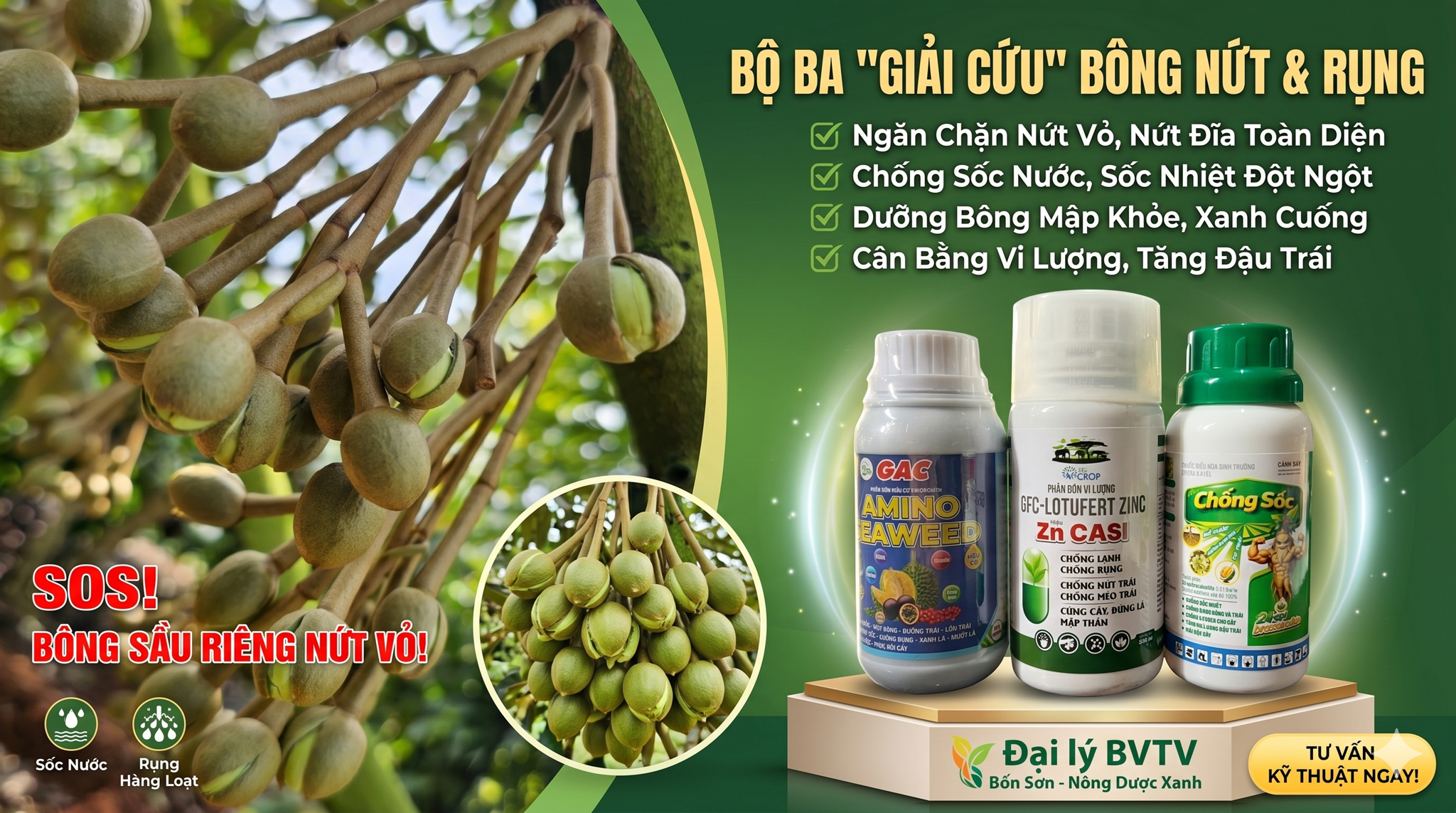 Review Chi Tiết Bộ 3 Sản Phẩm Chống Nứt, Giữ Cuống Bông Sầu Riêng Cực Đỉnh