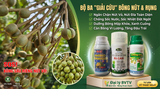 Review Chi Tiết Bộ 3 Sản Phẩm Chống Nứt, Giữ Cuống Bông Sầu Riêng Cực Đỉnh