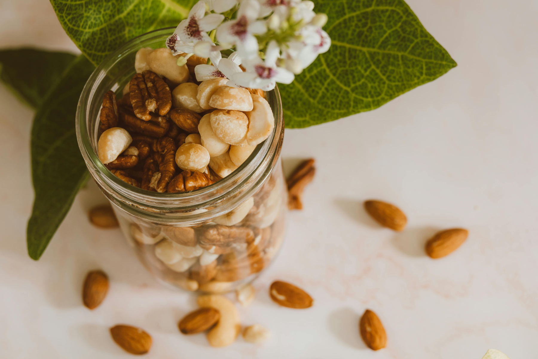 5 cách biến tấu món ngon với macca Kamina